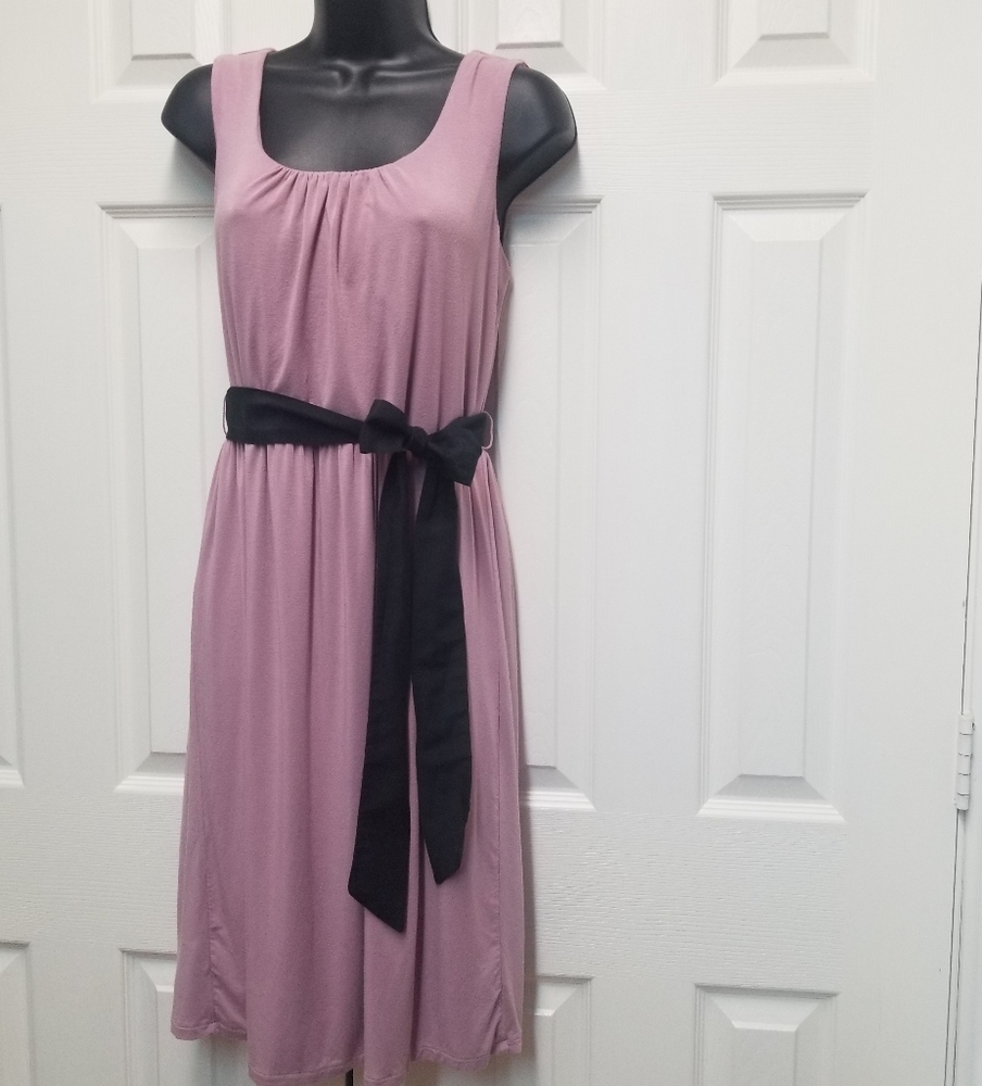 Ann Taylor Loft Dress